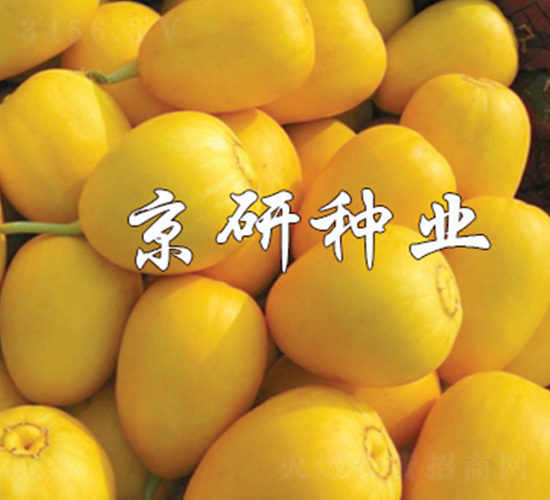 ����357-��ϷN��-����