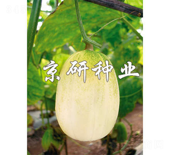 ������-��ϷN��-����