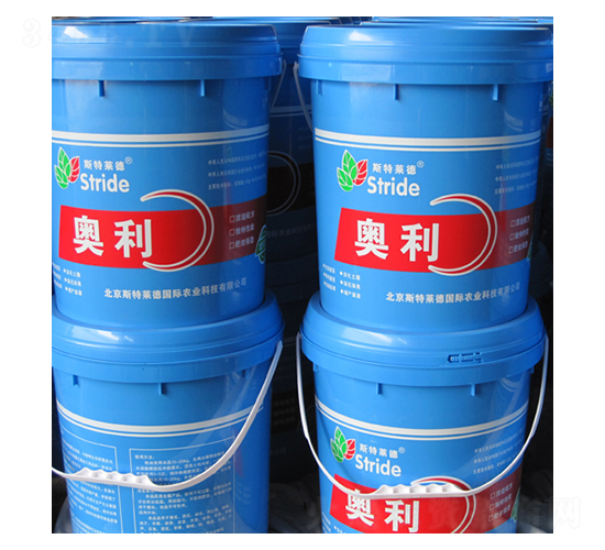 �W���_ʩ��-˹���R��-�|��