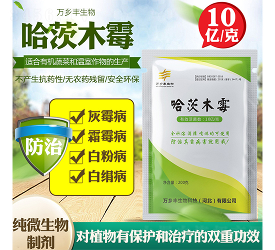 ����ľù-�f�l(xi��ng)�S����