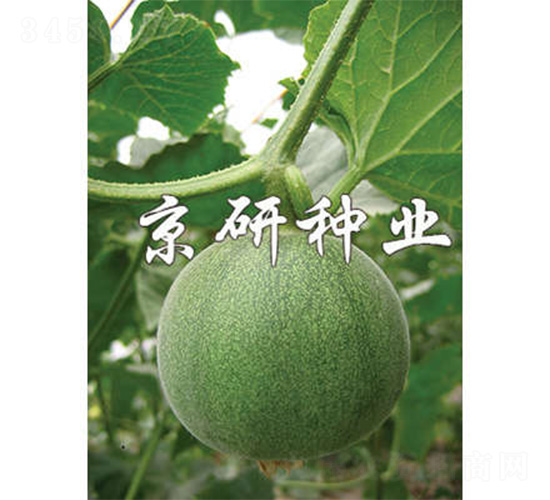 ����G��-��ϷN��-����