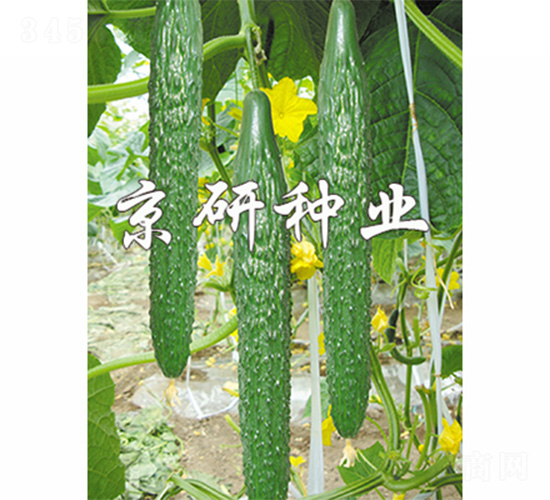 ����108-�S�ϷN��-����