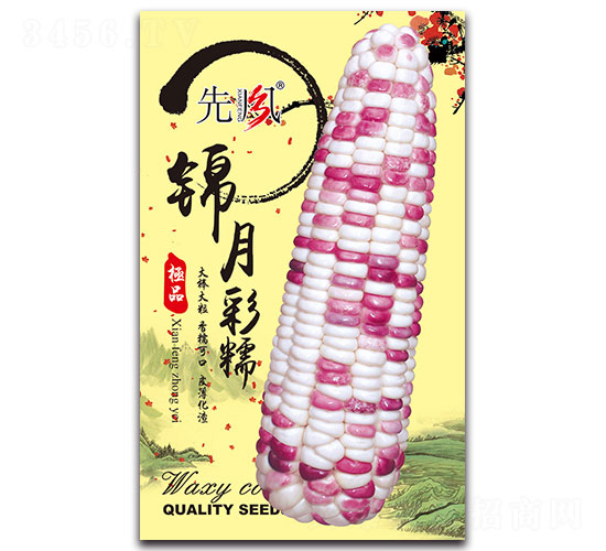 �\�²�Ŵ-Ŵ���׷N��-���L(f��ng)