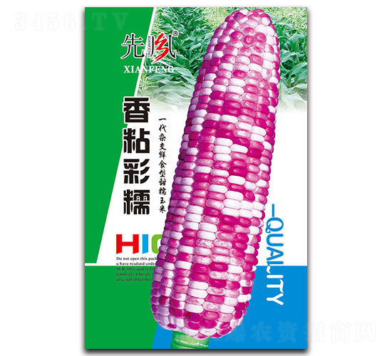 ��ճ��Ŵ-Ŵ���׷N��-���L(f��ng)