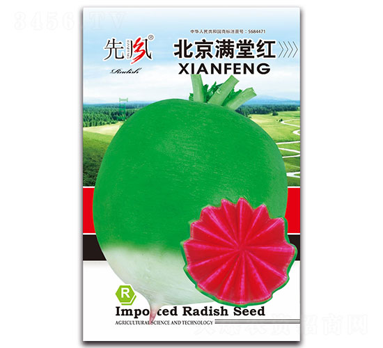 �����M�üt-�}���N��-���L(f��ng)