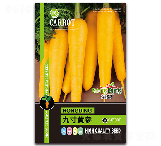 �Ŵ��S��-�}���N��-���L