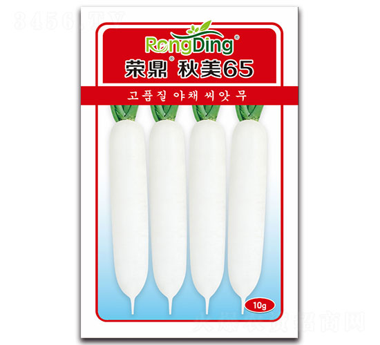 �s������65-�}���N��-���L(f��ng)