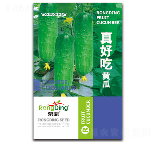 ��ó��S��-�S�ϷN��-���L