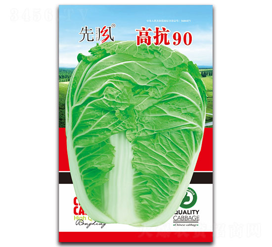 �߿�90-�ײ˷N��-���L(f��ng)