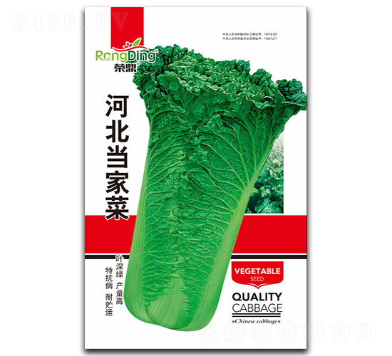 �ӱ���(d��ng)�Ҳ�-�ײ˷N��-���L(f��ng)