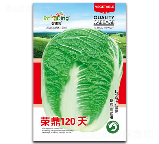 �s��120��-�ײ˷N��-���L(f��ng)