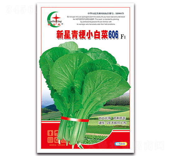 �����๣С�ײ�606F1-С�ײ˷N��-���L(f��ng)