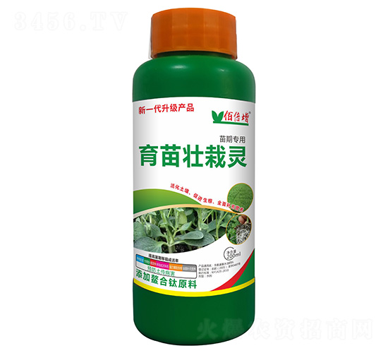 ��������`-�۱���