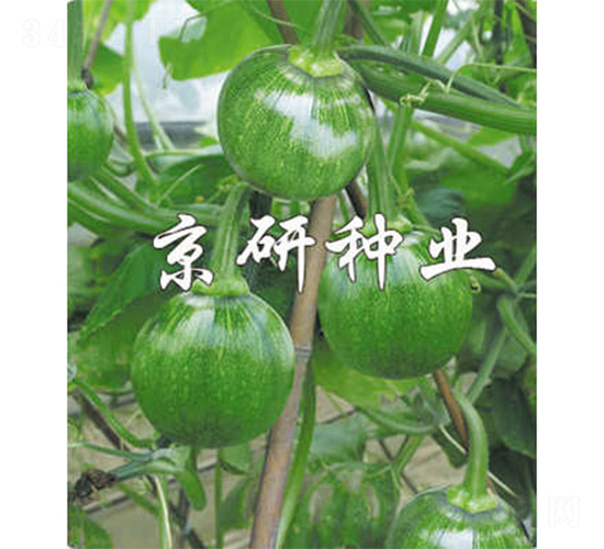 ����2̖(h��o)-�ϹϷN��-����