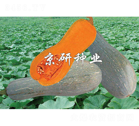 ����2̖-�ϹϷN��-����