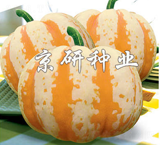 �ʹ�-�ϹϷN��-����