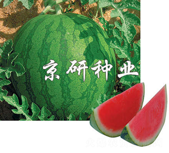 ����1̖-���ϷN��-����