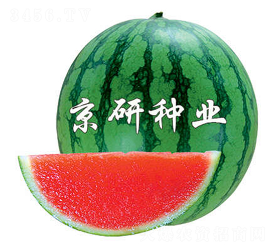 ����-���ϷN��-����