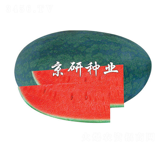 ����-���ϷN��-����