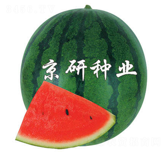 ��������2̖(h��o)-���ϷN��-����