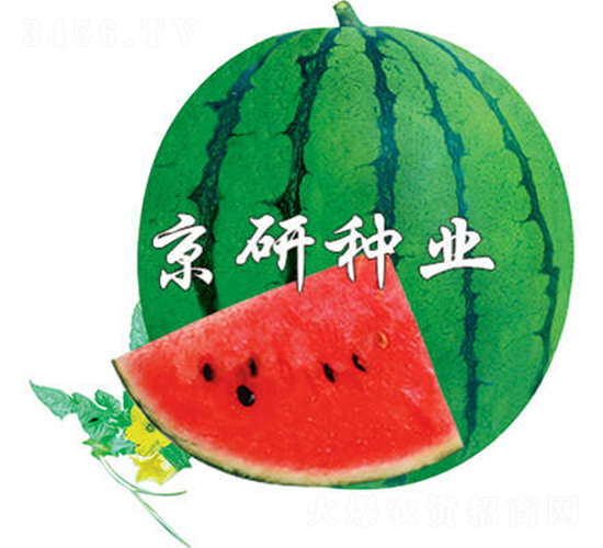 ����3̖-���ϷN��-����