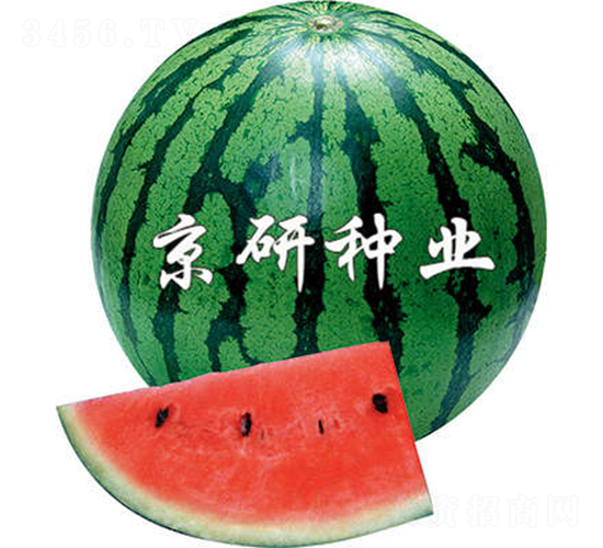 ����2̖-���ϷN��-����