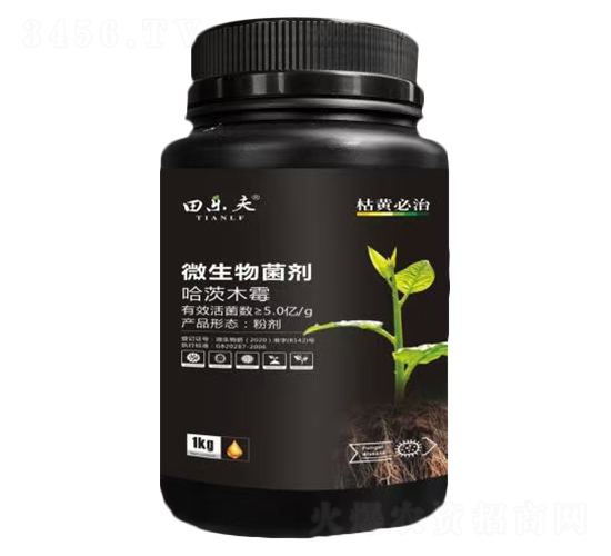 ΢�������-���-��ʢ����