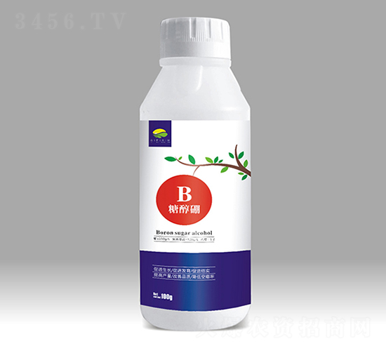 �Ǵ���-��������