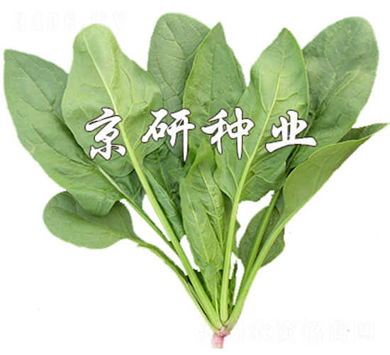 ����186-���˷N��-����