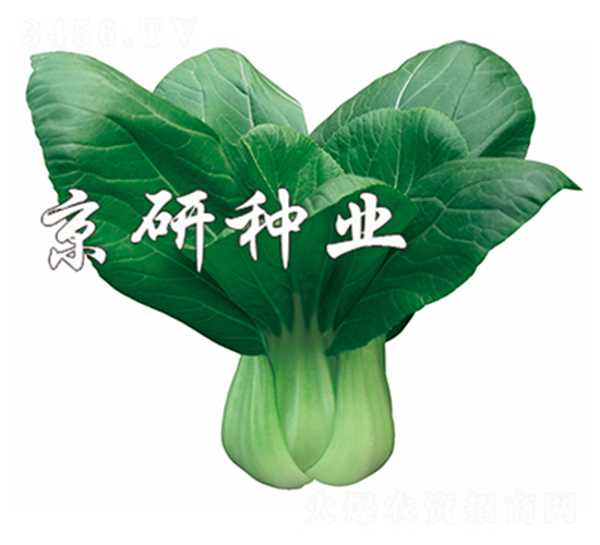 ����5̖(h��o)-С�ײ˷N��-����