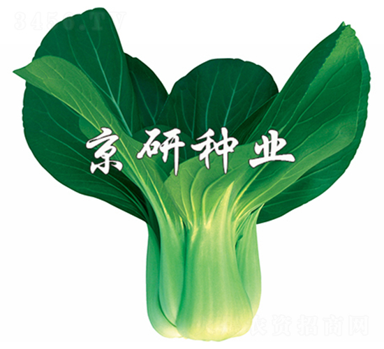 ���G2̖-С�ײ˷N��-����