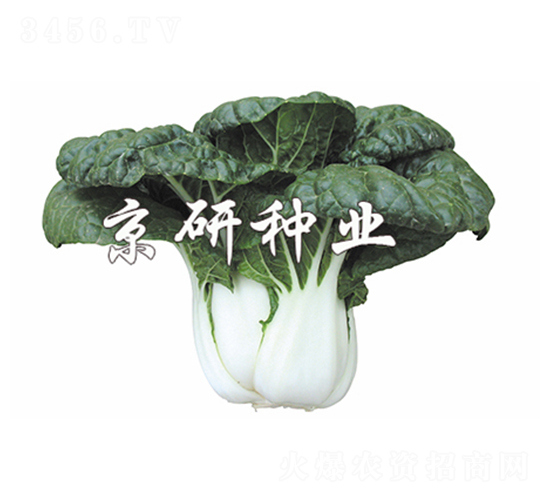 �̰�5̖-С�ײ˷N��-����