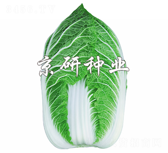 �����S2̖(h��o)-�ײ˷N��-����