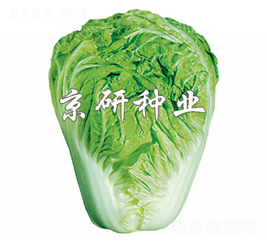 С�s60̖-�ײ˷N��-����