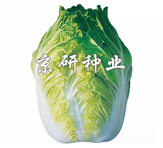 ����68̖(h��o)-�ײ˷N��-����