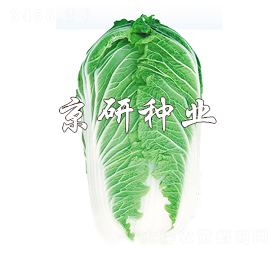 ����701-�ײ˷N��-����