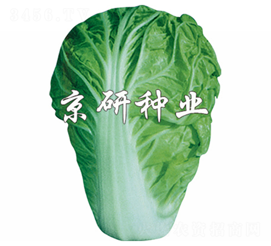 ����1̖-�ײ˷N��-����