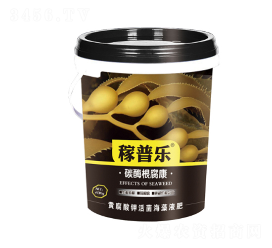 ̼ø������-���՘�-���ɷʘI(y��)