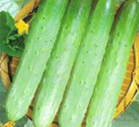 �Ø�-�S�ϷN��-���A�N�I(y��)