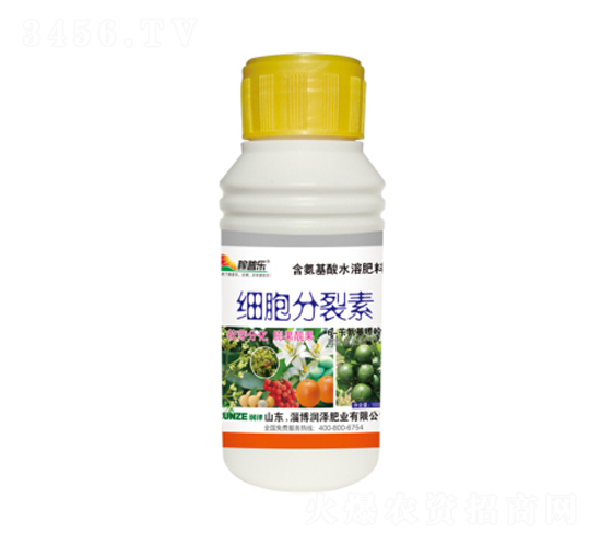 ��(x��)��������-���՘�-���ɷʘI(y��)