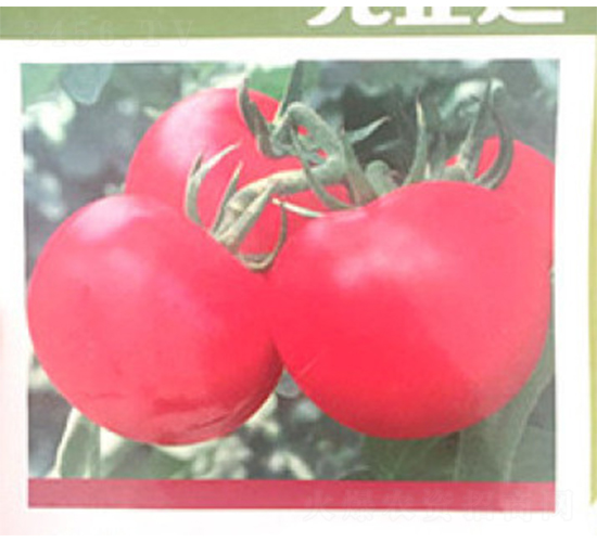 ؐ��-���ѷN��-���A�N�I(y��)