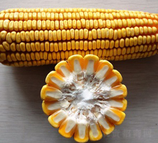 ��̩33̖-���׷N��-���r(n��ng)�l(f��)