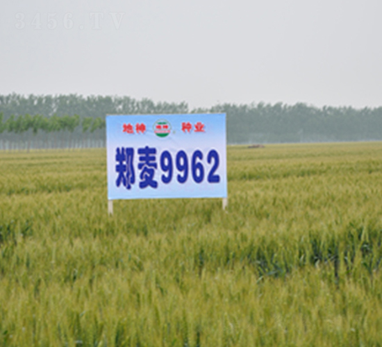 ����9962-С���N��-���r(n��ng)�l(f��)