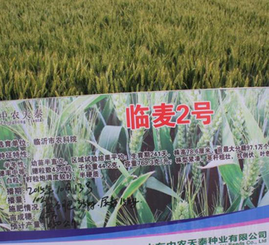 �R��2̖-С���N��-���r(n��ng)�l(f��)