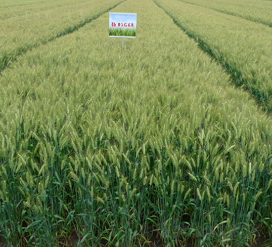 �PŴ��1̖-С���N��-���r(n��ng)�l(f��)