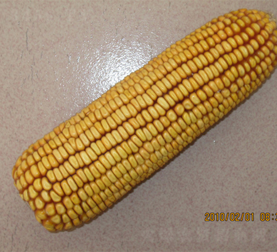 �B��16-���׷N��-�r(n��ng)��N�I(y��)