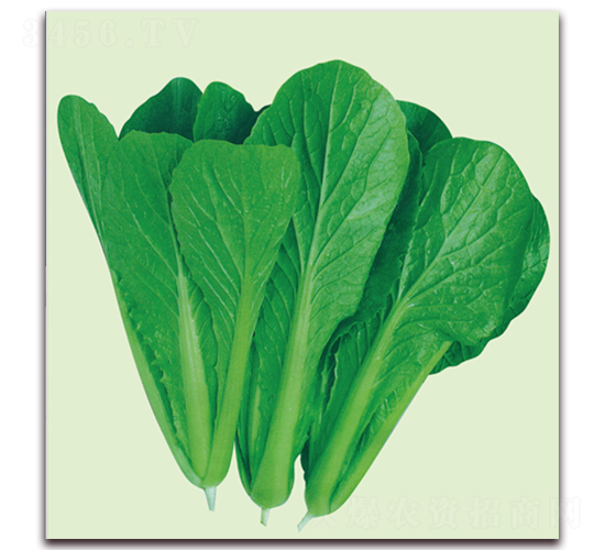 ����-С�ײ˷N��-����˹