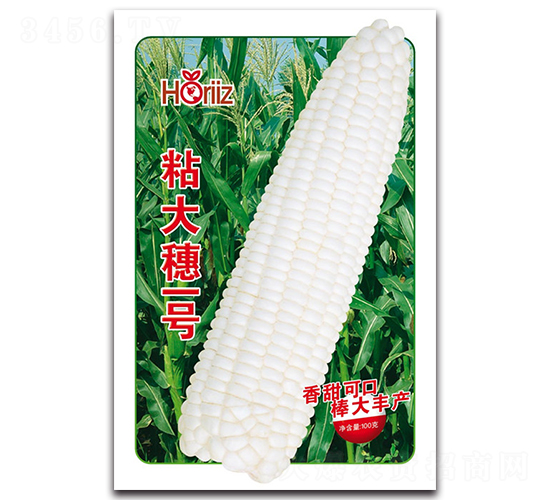 ճ����һ̖-Ŵ���׷N��-����˹