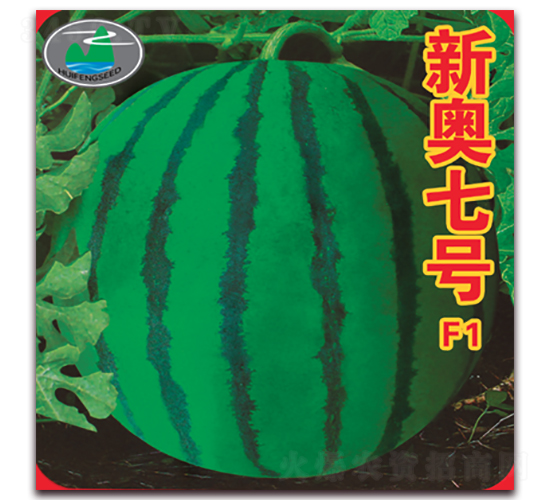 �W��̖-���ϷN��-����˹