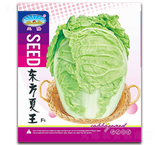 �|������-�ײ˷N��-��ͷN�I(y��)